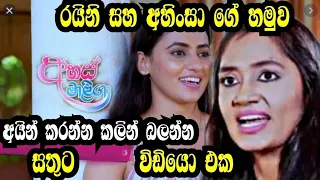 Ahas Maliga රයිනි සහ අහිංසා ගේ හමුව