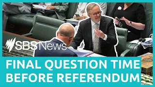 Parliament's final Question Time before Voice referendum | SBS News