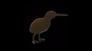 Kiwi Spin (low quality Funky Town)