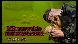 Łowisko Miłoszewskie - UNDERWATER film .... VLOG #5