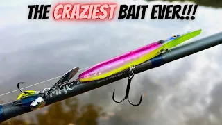 This New Fishing Lure is CRAZY!