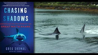 Great White Shark Gets Stuck in a Pond! Interview w/Dr. Greg Skomal: Ocean Talks