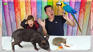 ЧЕЛЛЕНДЖ Мармеладная Еда против Настоящих Животных New Challenge Gummy Food vs Real Animals