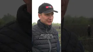 Сезон спаржі на Черкащині #ukraine #life #cherkasy #farming #asparagus  #asparagusrecipe