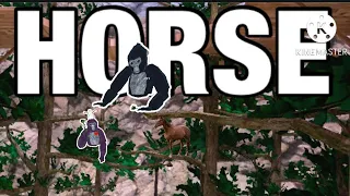 Game Of H.O.R.S.E But The Loser Has To Post a 3AM Video (ft. WaterBiter) | Gorilla Tag VR