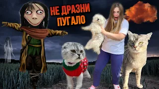 НЕ ДРАЗНИ ПУГАЛО НОЧЬЮ... КЕВИН И БИЛ В ОПАСНОСТИ! КОШАЧЬЯ ИСТОРИЯ УЖАСОВ