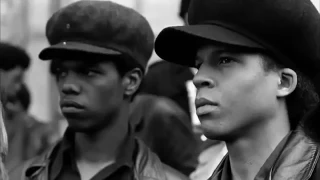 Black Panthers For Self-Defense - Vanguard of The Revolution