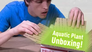 Aquatic Plant Unboxing from H2O Plants w/ Rare Plant