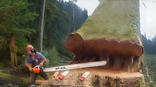 Satisfying Videos Of Workers Doing Their Job Perfectly