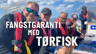 TØRFISK // FANGSTGARANTI