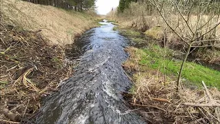 Beaver dam removal || 2 days and dam was rebuilt.