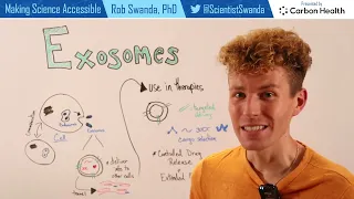 Exosomes and Drug Delivery