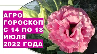 Агрогороскоп с 14 по 18 июля 2022 года