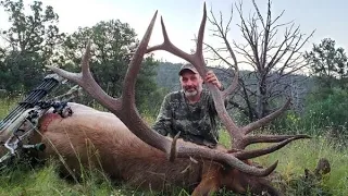 2021 Early Season Archery Elk Hunting | New Mexico Bowhunt