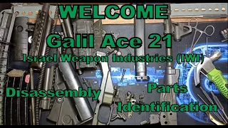 Galil Ace 21 Israel Weapon Industries (IWI) Disassembly and Parts Identification