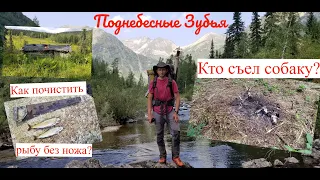 Козьими тропами Кузнецкого Алатау | Небанальный поход по Поднебесным Зубьям | Избы, медведи, хариусы