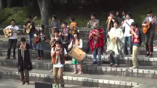 Japoneses Tocan Música Boliviana