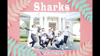 SHARKS - Line  Dance   Demo by Qansa D liners