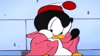 Chilly Willy en Español 🐧 Una nueva vida -  Capitulos completos 🐧Dibujos Animados