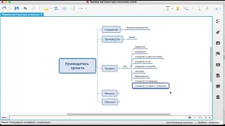 Оргструктура компании. Как быстро сформировать и зачем нужна.