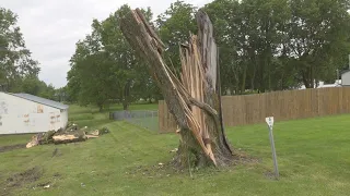 Storm winds rip down trees in Warren County, Iowa