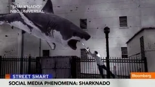 Tara Reid: `Sharknado' Future Is Limitless