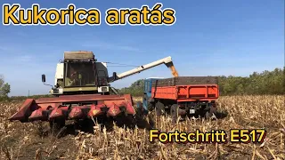 Kukorica aratás 2023 | Fortschritt E517 + Oros 6011