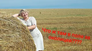 Что ж там в поле за околицей???