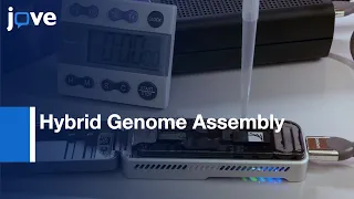 Hybrid Genome Assembly to generate Complete Genomes using Sequencing | Protocol Preview