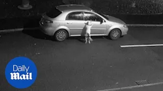 Heartbreaking moment man dumps dog before driving AWAY!