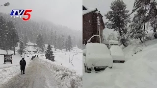 Heavy Snowfall in Kashmir | TV5 News