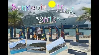 2018 Souvenir Haul (Royal Caribbean Cruise)