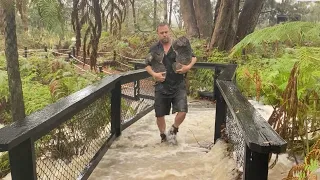 WE GOT FLOODED! | The Australian Reptile Park