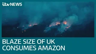 Area the size of the UK ablaze in Amazon as forest fires soar | ITV News