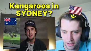 American reacts to 'Why I, an American, moved to Australia'