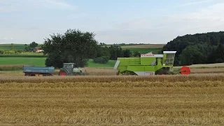 Grain Harvesting | Claas Dominator 56 | Mengele | Furstenberg | Claas Celtis | Germany | 2016.
