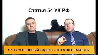 Статья 54 УК РФ. Арест