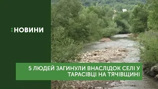 5 людей загинули внаслідок селі на Тячівщині ввечері 11 червня