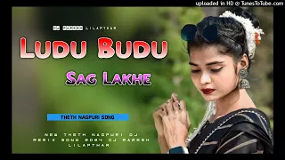लुदु बुदु साग || Ludu Budu Sag Lakhe || New Nagpuri 2024 ||🎶 Nagpuri Dj Remix Song || Dj Rsv Boys