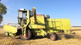 Claas Consul | Harvesting | Жнива | Уборка пшеницы комбайном