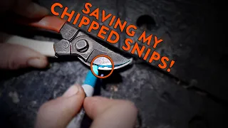 Restoring Chipped Okatsune Secateurs ✂️