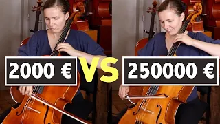 Comment choisir son violoncelle ? Avec la luthière Mélanie Kaltenbach