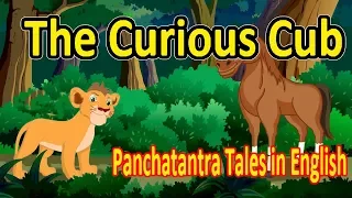 The Curious Cub | Panchatantra English Moral Stories For Kids | Best Of Aesop Fables