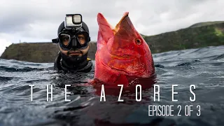 Spearfishing Giant Hogfish in the Middle of the Atlantic! Insane Caves & Fishing Rainbow Trouts!