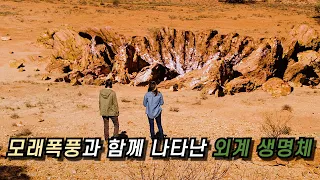 [결말포함] 한적한 시골 마을에 나타난 정체불명 외계 생명체의 습격