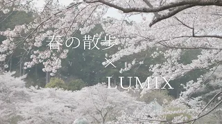 【LEICA50-200】LUMIX G9 で春の散歩