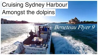 Cruising Sydney Harbour amongst the dolphins in Beneteau Flyer 9 Sundeck