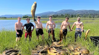 Spearfishing GIANT Carp!! Absolute Madness (75+ Carp)