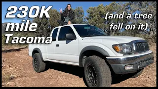 I Off-Road a First Gen Tacoma (2002) | Toyota Tacomas are INDESTRUCTIBLE!