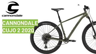 Cannondale Cujo 2 2020: bike review